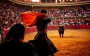 un analisis profundo del estado actual del arte de la tauromaquia python 1759042474