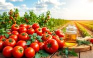 el pomodoro un viaje a traves de su historia y tecnicas de cocina sostenible 1763226878