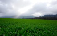 pronostico del tiempo en espana aumento de temperaturas y lluvias previstas 1763969819