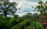 trump intenta eliminar las protecciones para especies en peligro de extincion 1763611307