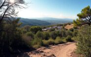 investigacion del brote de peste porcina africana en la sierra de collserola causas y consecuencias 1764948851