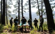 la ume refuerza la lucha contra el brote de peste porcina africana en collserola 1764567460