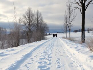 efectos del frio invernal en las migranas como prevenirlas 1767776342