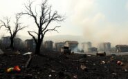 lecciones y reflexiones a un ano de los incendios en los angeles 1767642047
