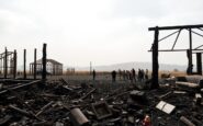 retos que enfrentan los californianos tras los incendios forestales 1768305954