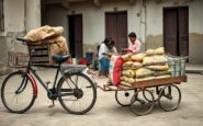 como el periodo especial transformo la economia y la sociedad cubana 1771056910