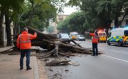 impacto de la borrasca nils en catalunya danos heridos y restricciones 1770962312