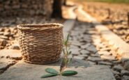 Crisis de agua en Marruecos: entre la adaptación y la soberanía alimentaria