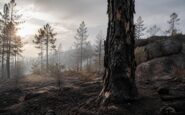 Gobierno activa emergencia nacional por incendios en Madrid y Ávila