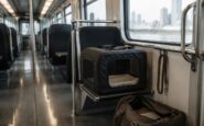 Guía completa para viajar con perros en tren sin estrés