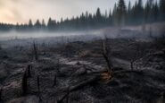 Incendio en Guadalajara: evacuaciones y devastación en el parque natural de la Sierra Norte