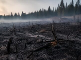Incendio en Guadalajara: evacuaciones y devastación en el parque natural de la Sierra Norte