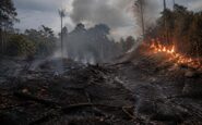 Incendios forestales en Francia y España: la lucha contra las llamas que no cesa