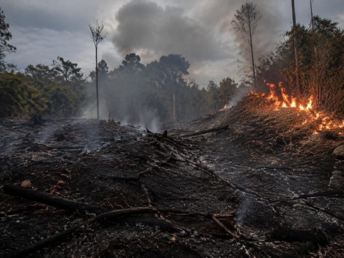 Incendios forestales en Francia y España: la lucha contra las llamas que no cesa
