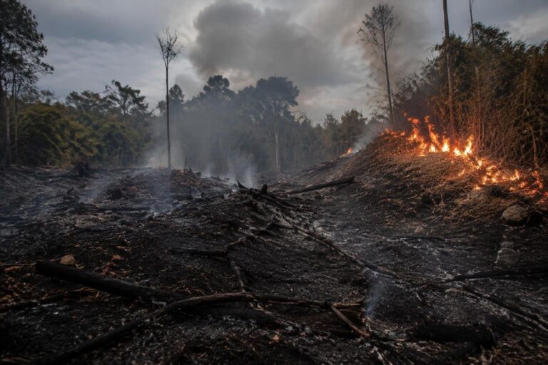 Incendios forestales en Francia y España: la lucha contra las llamas que no cesa
