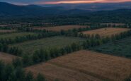 Cómo los mosaicos agroforestales reducen la propagación de incendios