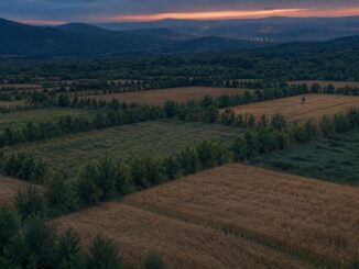 Cómo los mosaicos agroforestales reducen la propagación de incendios