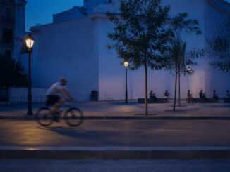Ane Zubeldia Magriñá gana el Miguel Hernández y crece la polémica