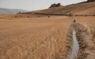El Niño en España: patrones climáticos y medidas preventivas