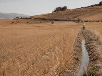 El Niño en España: patrones climáticos y medidas preventivas