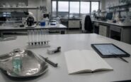 Longevidad y salud: ¿qué dice la ciencia sobre retrasar el envejecimiento?