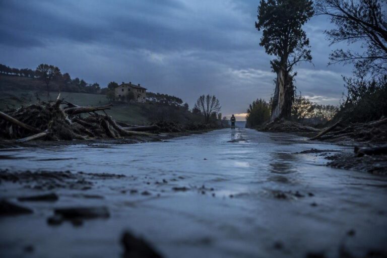 Maltempo nelle Marche: vigili del fuoco in azione per alberi caduti e allagamenti
