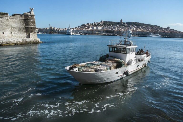 Controlli della Guardia Costiera ad Ancona: 22 kg di pesce sequestrati e sanzioni
