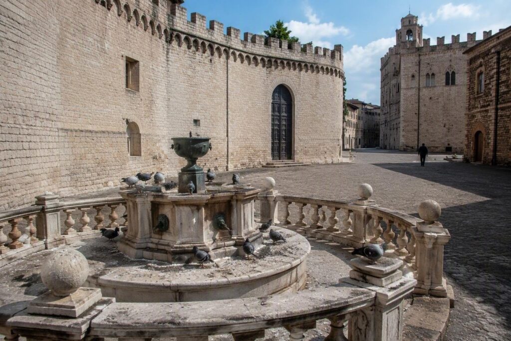 Piccioni a Piazza San Tommaso: guano, rumori e disagi per i cittadini