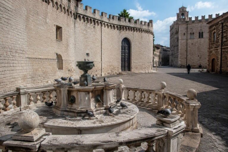 Piccioni a Piazza San Tommaso: guano, rumori e disagi per i cittadini