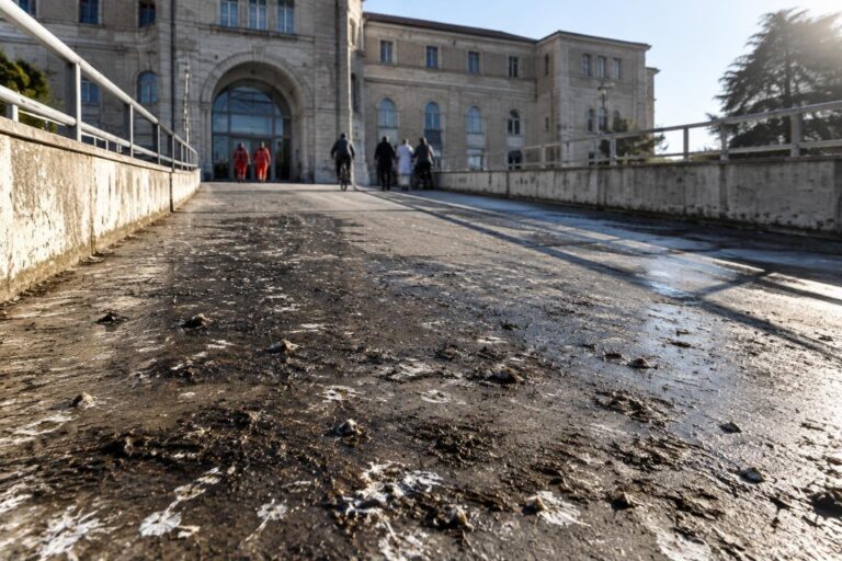 Accesso all’ospedale di Senigallia invaso da escrementi di uccelli