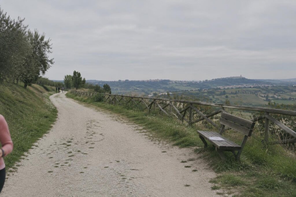 Terza Camminata in Rosa: 8 km di solidarietà a Montecassiano