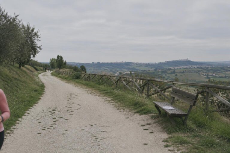 Terza Camminata in Rosa: 8 km di solidarietà a Montecassiano