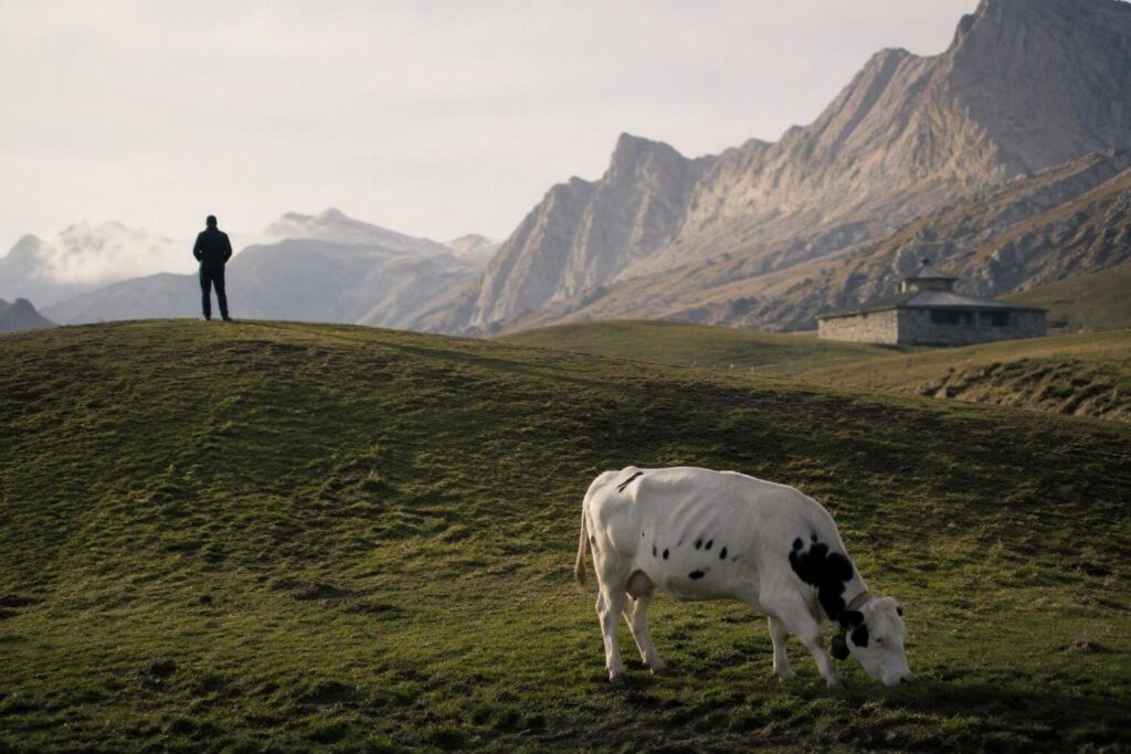 Mauro Chatrian e Amoureuse: un successo storico nelle batailles di Breuil-Cervinia