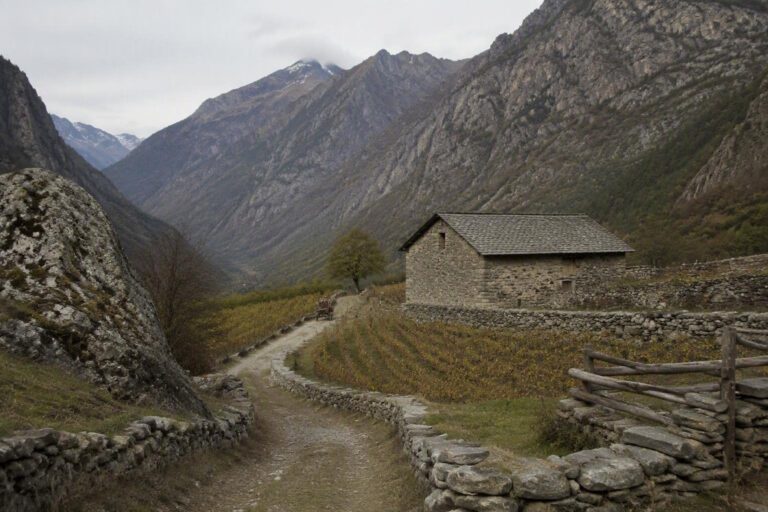 Valle d’Aosta slow tra alpeggi, cantine e vitigni autoctoni