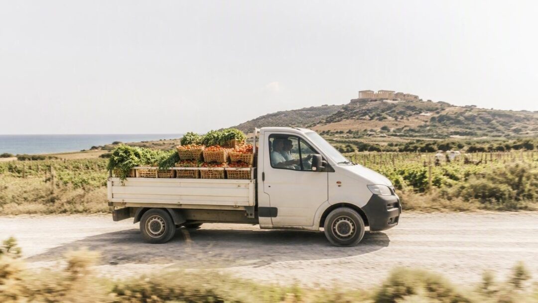 Forniture bio a Agrigento e incontri buyer per l'export emiliano