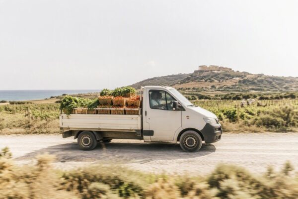 Forniture bio a Agrigento e incontri buyer per l'export emiliano
