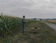 Come un nuovo compratore può far crescere i redditi dei contadini