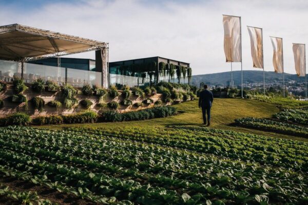 Daera guida le imprese verso la crescita verde al festival irlandese