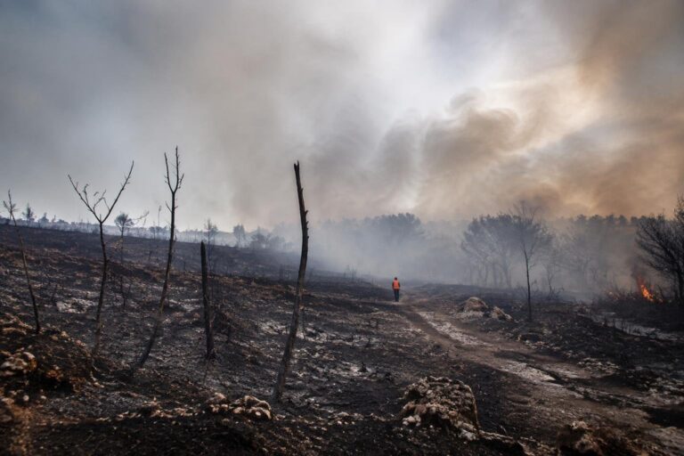Incendi a Molfetta: Lama Martina e Madonna dei Martiri tra le aree colpite