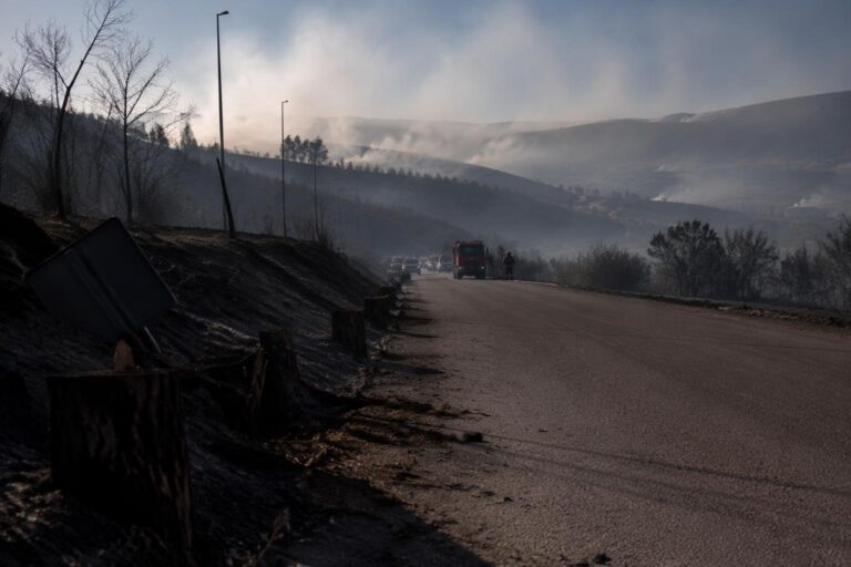 Incendio tra Campomarino e Termoli: evacuazioni e disagi alla viabilità