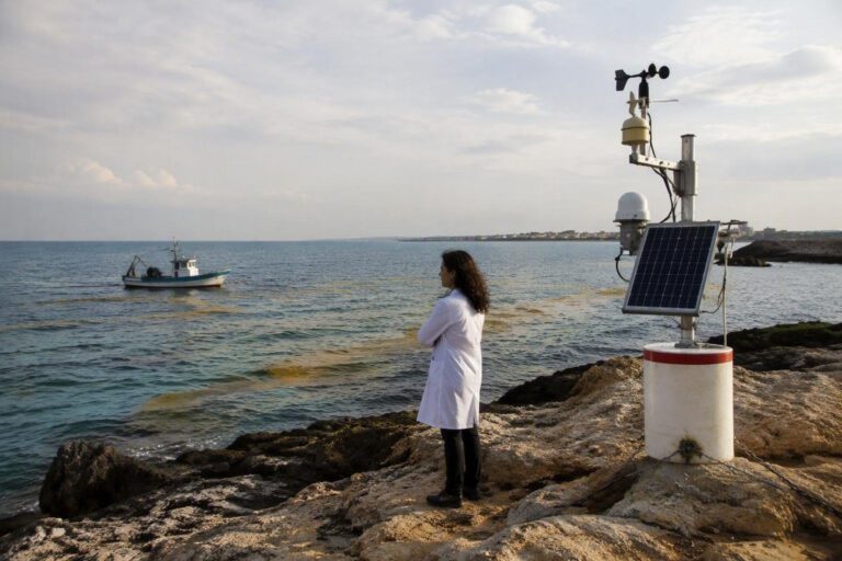 Alga tossica in Puglia: situazione critica tra Bari e Giovinazzo