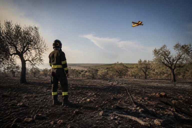 Incendi in Puglia: il dramma ambientale e l’intervento dei nuovi aerei antincendio