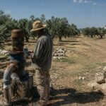 Agricoltura pugliese sotto pressione per il rialzo dei costi energetici