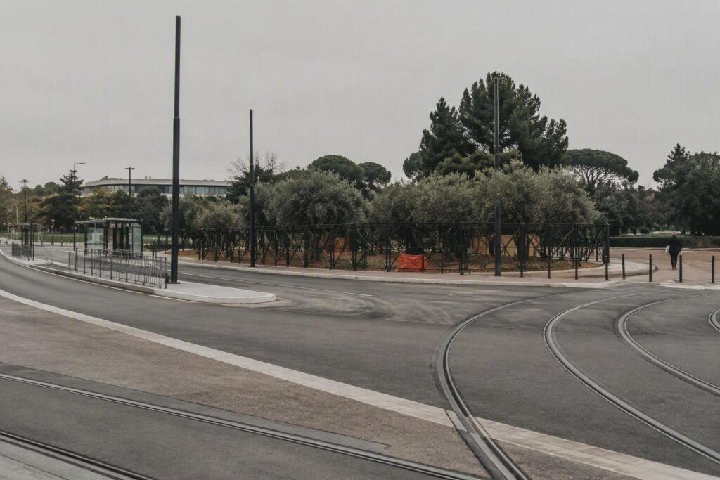 Alberi di Largo 2 Giugno: BRT non li abbatterà, solo trasplanti