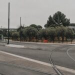 Alberi di Largo 2 Giugno: BRT non li abbatterà, solo trasplanti