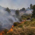 Incendio a Vico del Gargano: vigili del fuoco e volontari al lavoro per contenere le fiamme