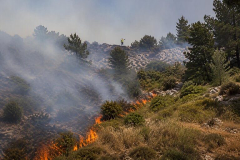 Incendio a Vico del Gargano: vigili del fuoco e volontari al lavoro per contenere le fiamme