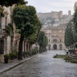 Commissione Ambienta spiega perché è necessario rimuovere alberi a Barletta