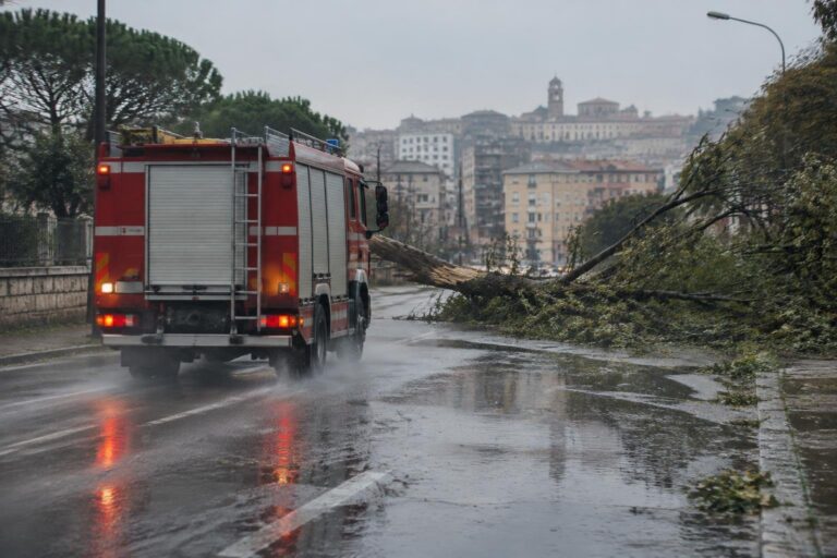 Foggia: albero cade in corso Garibaldi, vigili del fuoco al lavoro