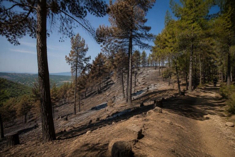 Allerta incendi Emilia-Romagna: cosa sapere e come comportarsi